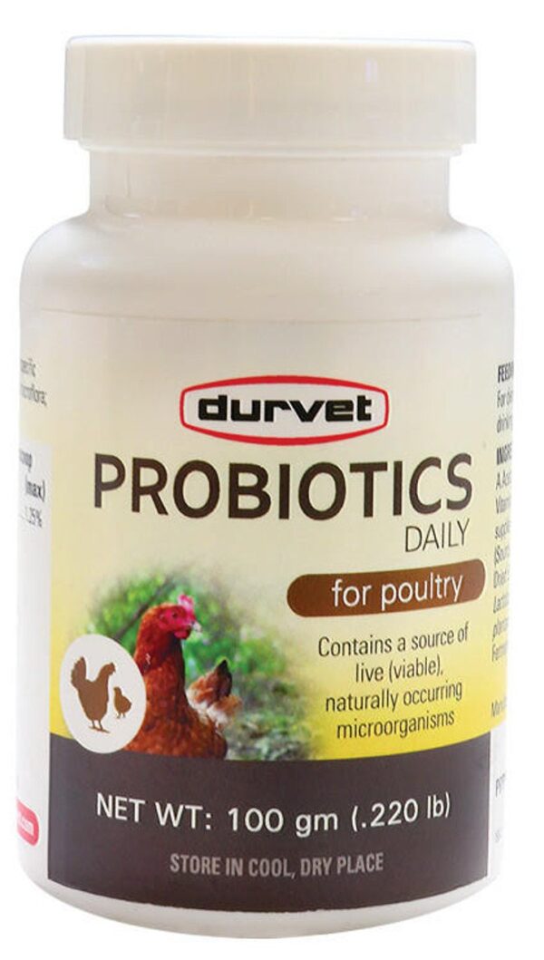 DURVET PROBIOTICS DAILY FOR POULTRY