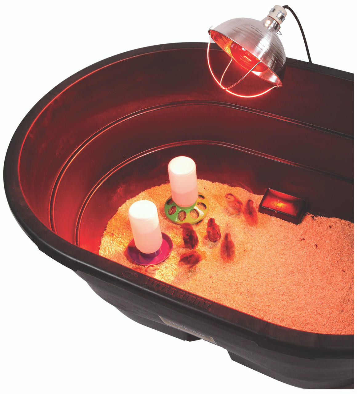 BROODER REFLECTOR LAMP - Image 3