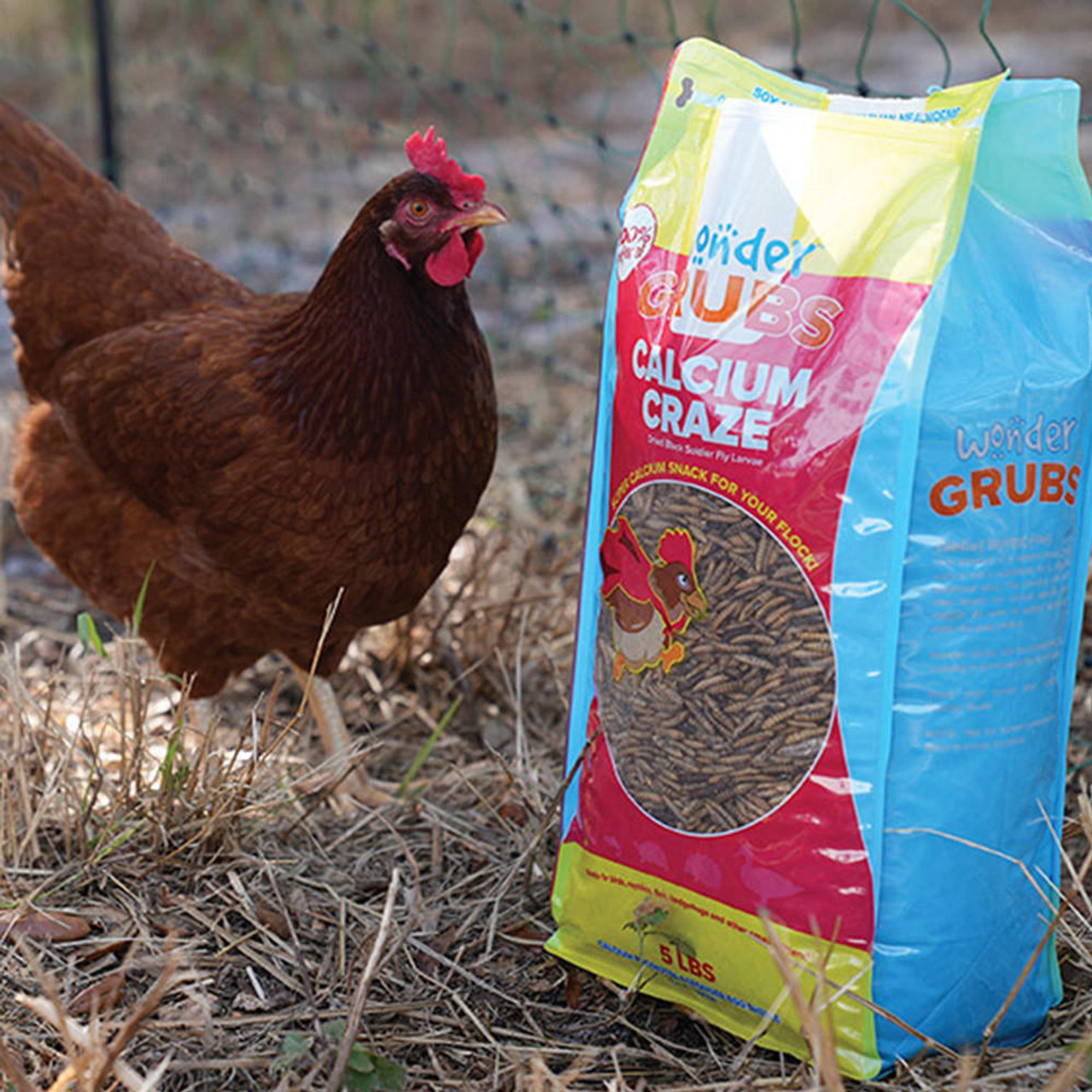 WONDER GRUBS BLACK SOLDIER FLY LARVAE - Image 2