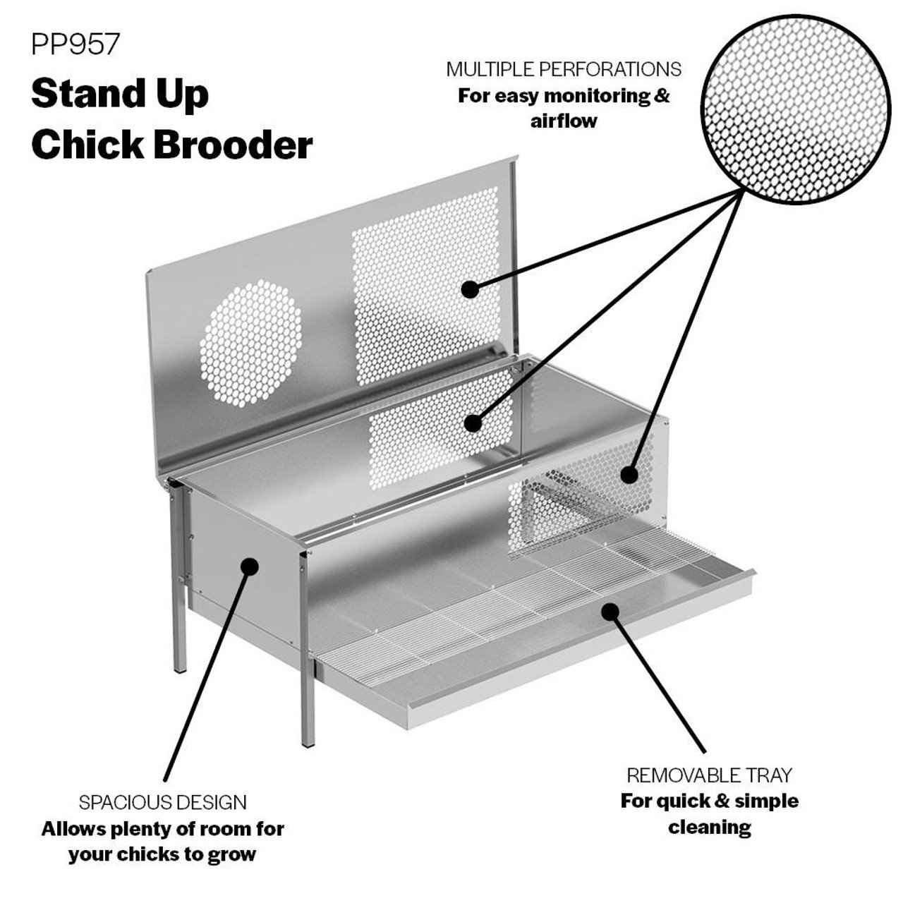 STAND UP CHICK BROODER - Image 2