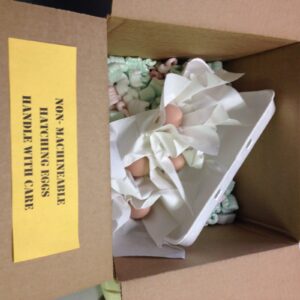 Hatchery Choice Hatching Eggs